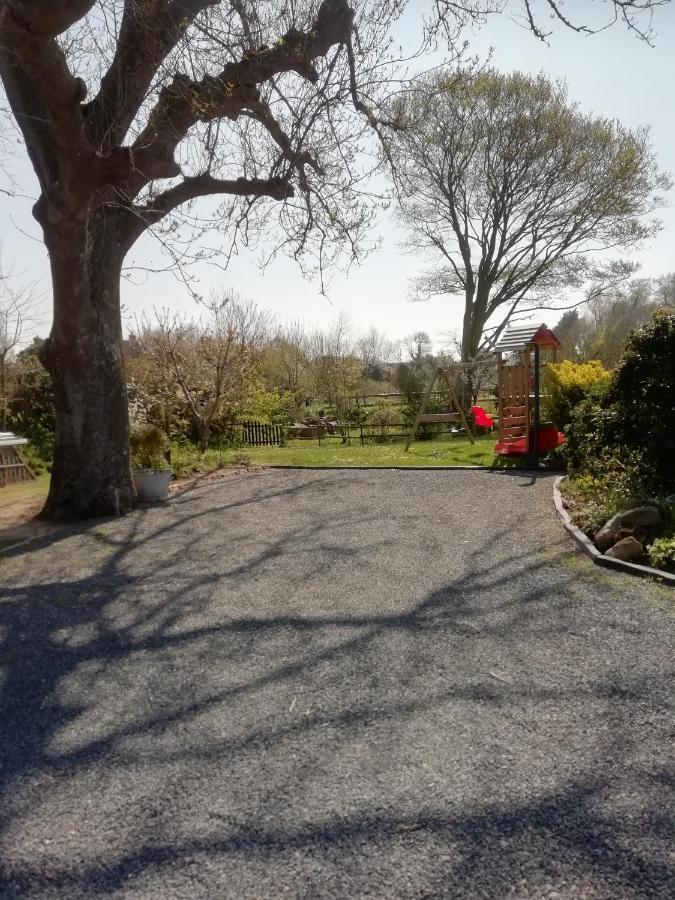 Le Cottage De L'Albatre Gite 2 Pers Jardin Parking A Vattetot Sur Mer Exteriör bild